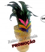 Cocar Indio Inca