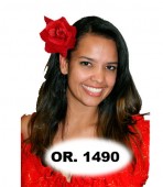 Rosa da Espanhola