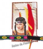 Cocar Faixa Indigena