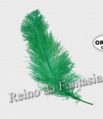 Pena Pluma